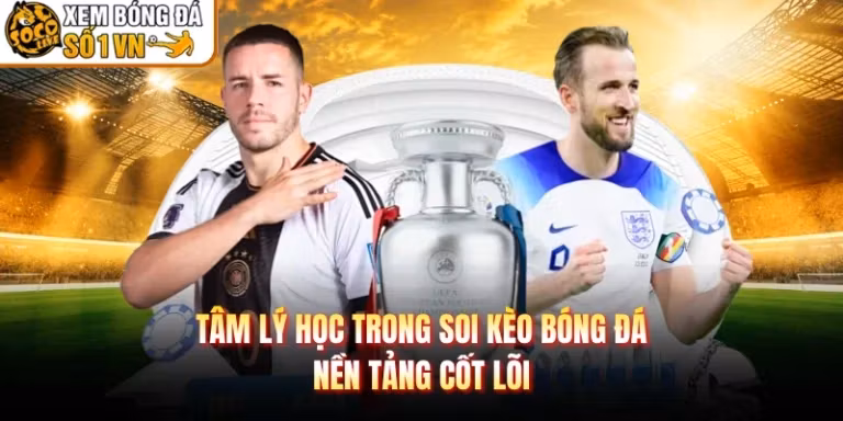 Tâm Lý Học Trong Soi Kèo Bóng Đá - Nền Tảng Cốt Lõi